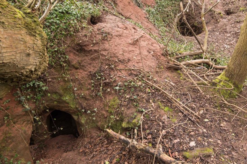 A farmer discovers an Ice Age cave hidden under his field that is over 11,000 years old