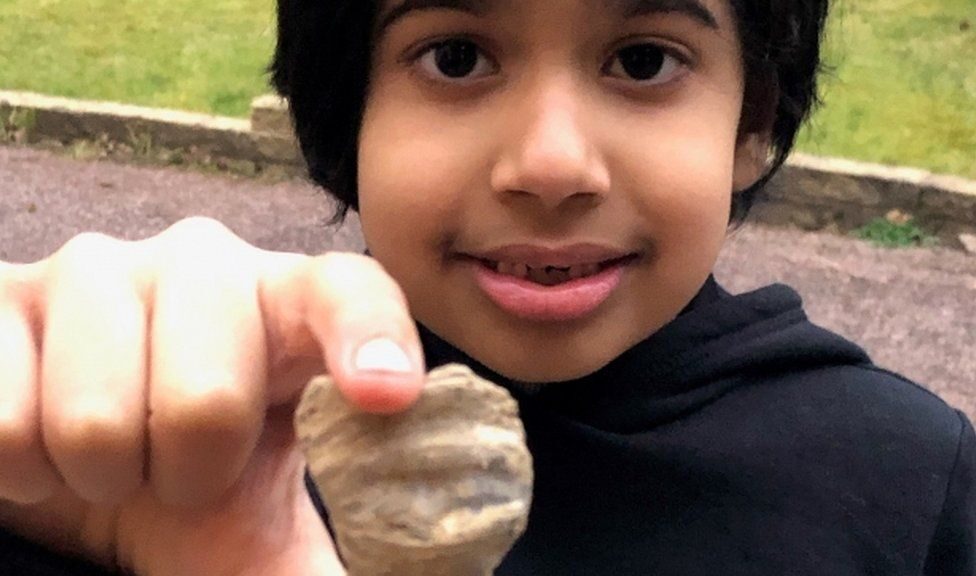 6-yr old Indian-origin boy finds millions of years old fossil in UK garden