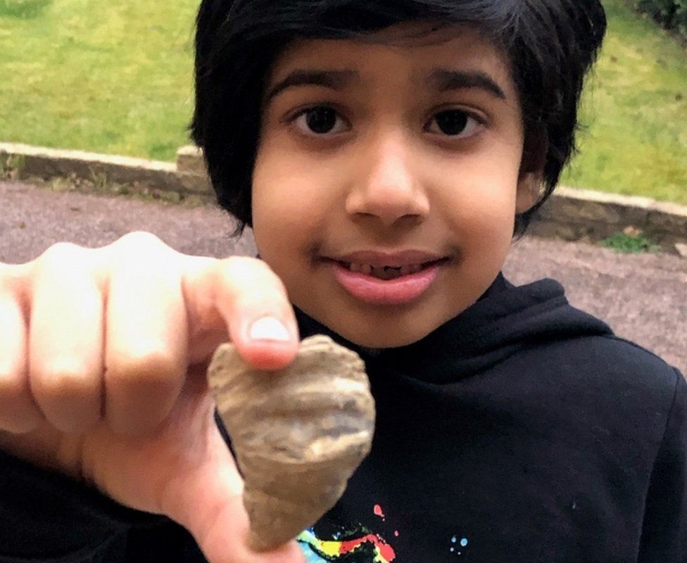 6-yr old Indian-origin boy finds millions of years old fossil in UK garden