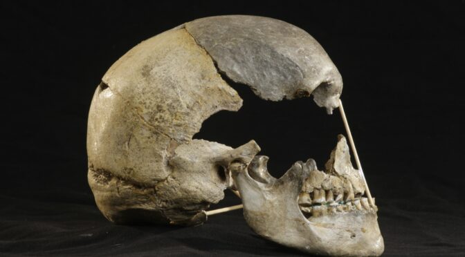 45,000-year-old Skull From Czech Cave May Contain Oldest Modern Human Genome