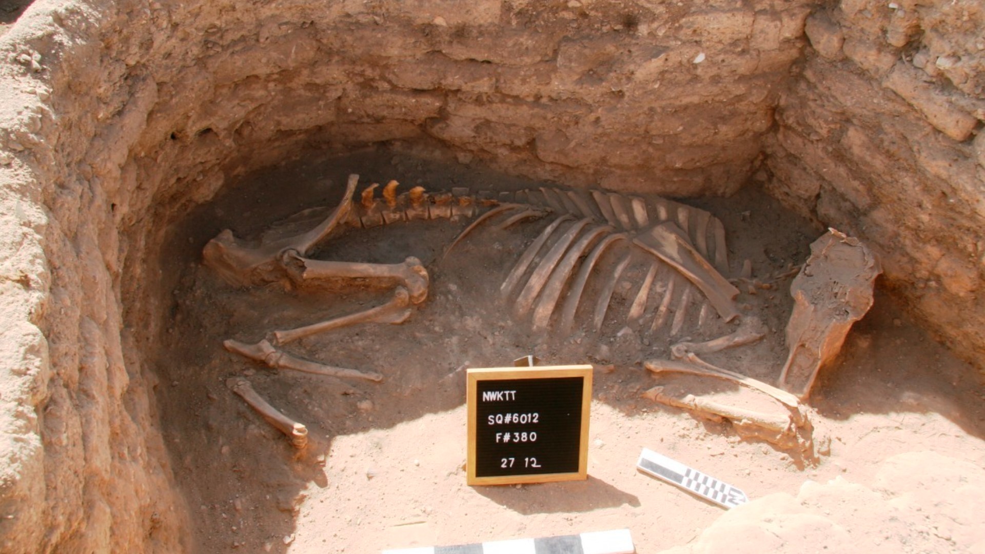 Egyptian Pompeii: 3,000-year-old ‘lost golden city’ discovered in Egypt ...