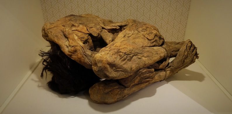 In 1980, while cleaning out her garage, a woman found the hidden mummies