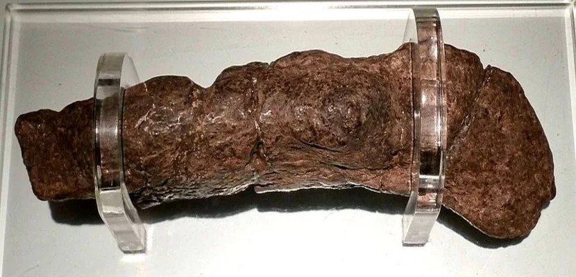 This is the largest fossilized human turd ever found