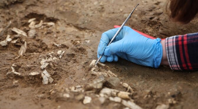 Early Bronze Age Burials Uncovered in Istanbul