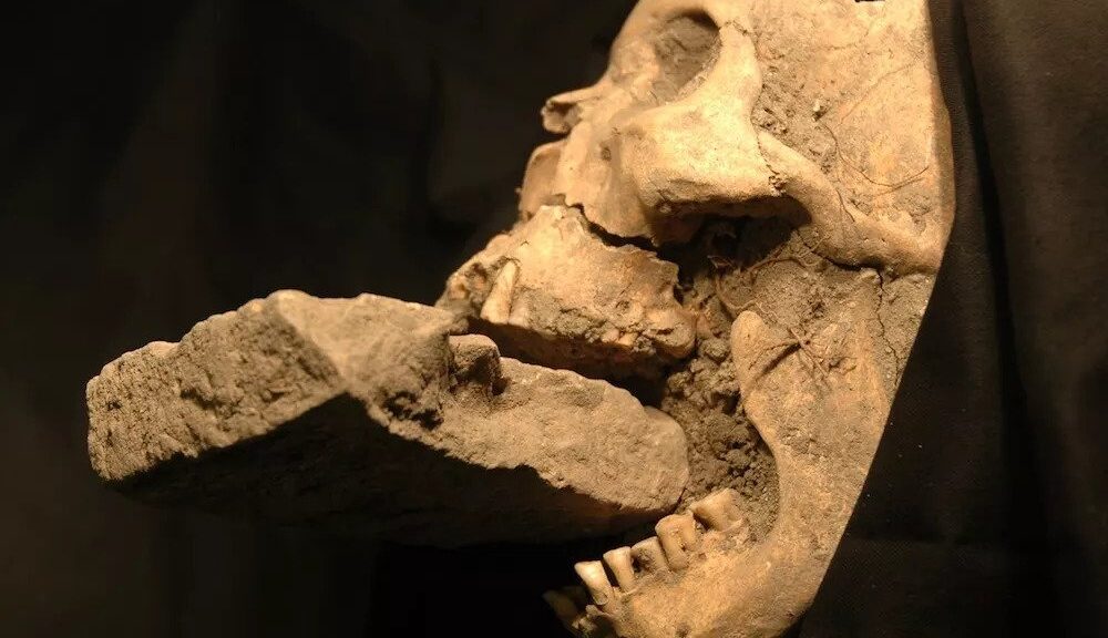 'Vampire' discovered in a mass grave