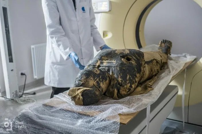 Egyptian mummy believed to be of a male priest turns out to be a pregnant woman