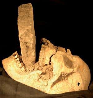 'Vampire' discovered in a mass grave