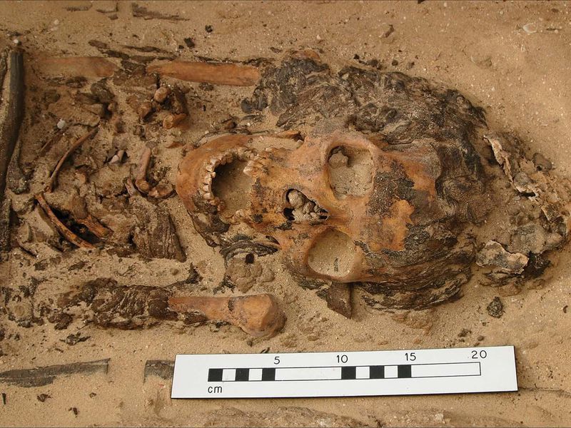 Ancient Egyptian Head Cones Were Real, Grave Excavations Suggest