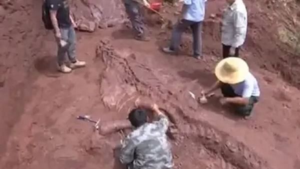 Palaeontologists discover nearly complete dinosaur skeleton in China - fossil is '70 per cent intact'