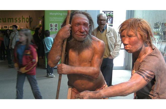 Study Suggests Neanderthals and Modern Humans Met in Israel