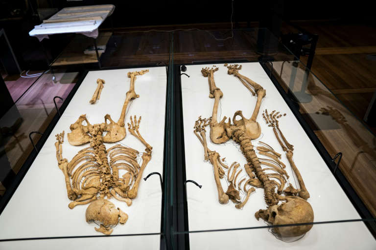 DNA Analysis Reunites Viking Relatives 1,000 Years Later