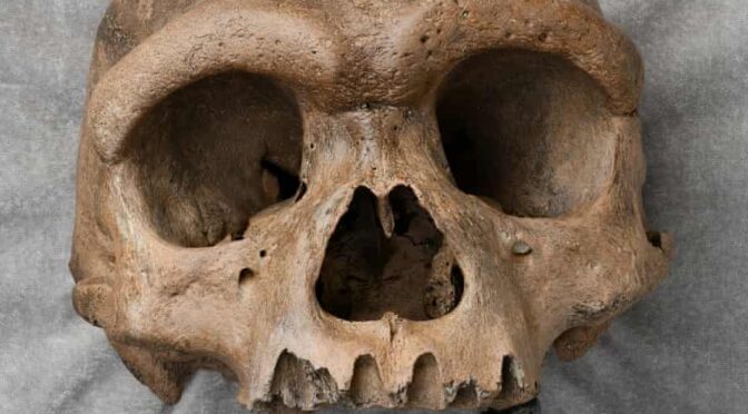 Massive Early Human Skull Found in China Examined
