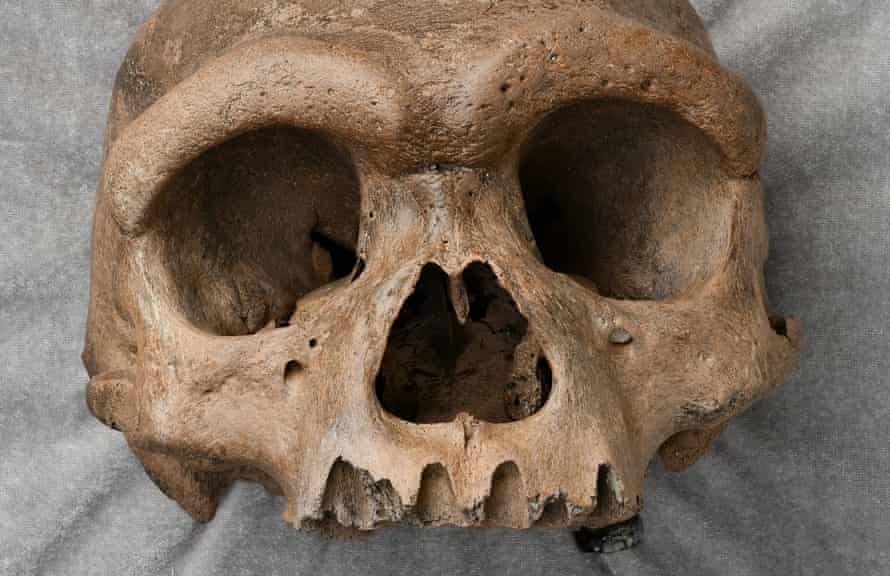 Massive Early Human Skull Found in China Examined