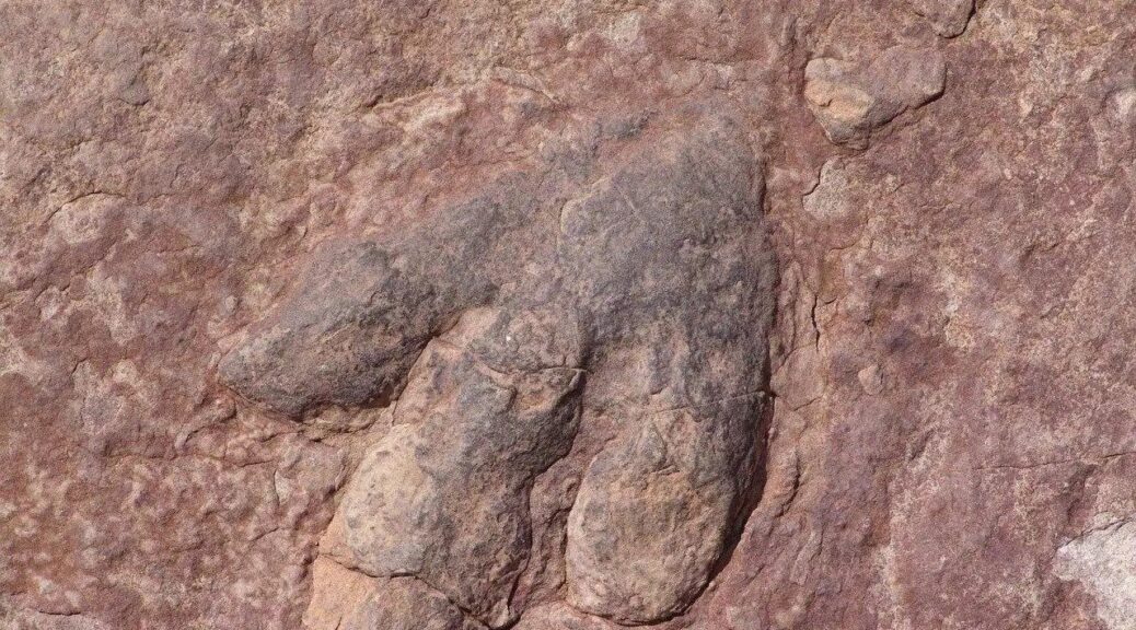Footprints of Last Dinosaurs To Walk on UK Soil 110 Million Years Ago Found in Kent