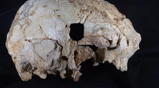 Is This 400,000-Year-Old Hominin the Great Grandpa of Neanderthals?