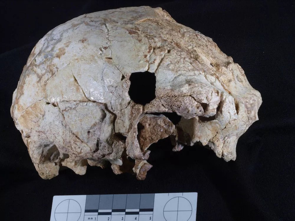 Is This 400,000-Year-Old Hominin the Great Grandpa of Neanderthals?