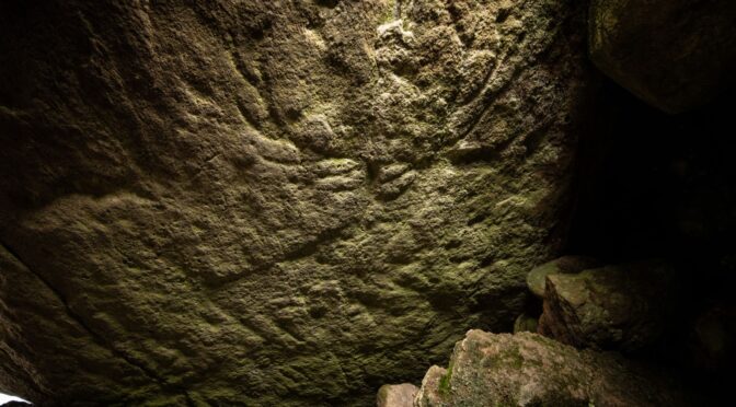 Prehistoric animal carvings found for the first time in Scotland