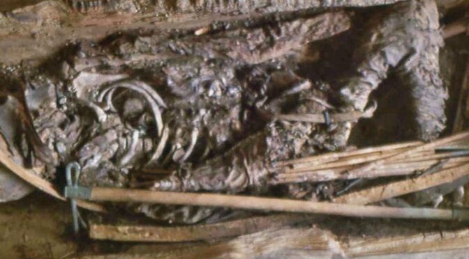 DNA shows Scythian warrior mummy was a 13-year-old girl