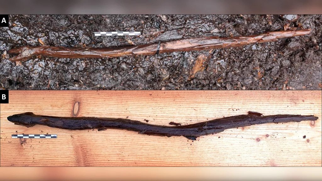 Possible shaman's snake stick from 4,400 years ago discovered in a Finnish lake