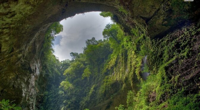 The Largest Cave ever found on earth. so big, it has its own ecosystem