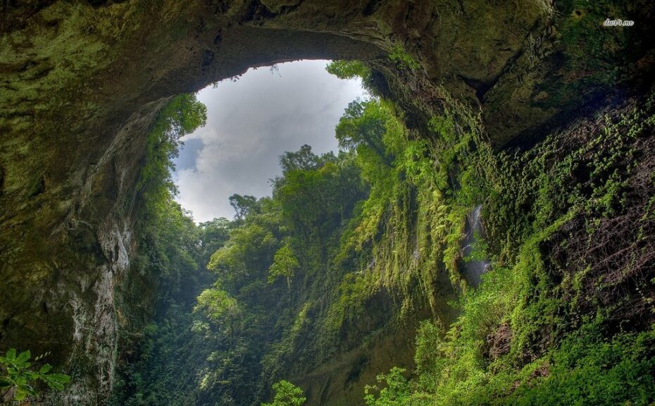 The Largest Cave ever found on earth. so big, it has its own ecosystem