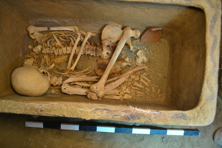 A Greek Farmer Stumbled on a 3,400-Year-Old Tomb in His Olive Grove While Parking His Car