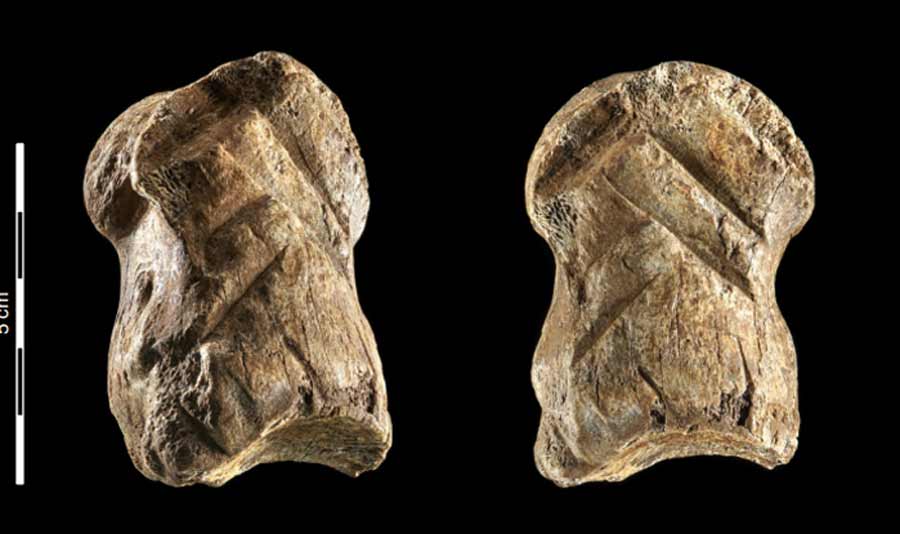 A 51,000-year-old engraved bone reveals Neanderthals’ capacity for symbolic behaviour