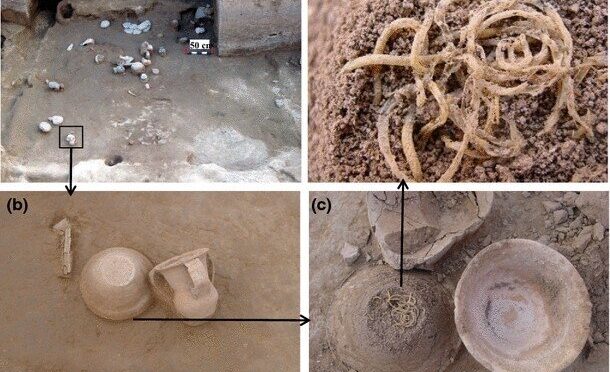 Chinese scientists uncover 4,000-year-old bowl of noodles