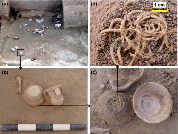 Chinese scientists uncover 4,000-year-old bowl of noodles