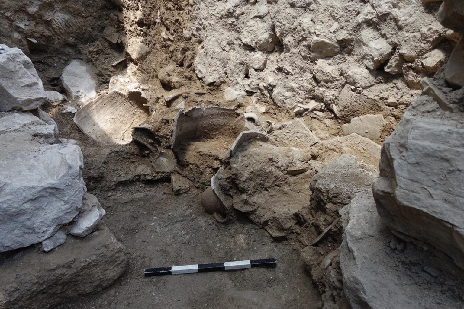 Cryptic 2,700yearold pig skeleton found in Jerusalem’s City of David