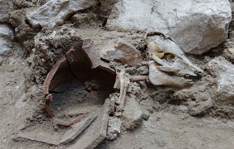 Cryptic 2,700-year-old pig skeleton found in Jerusalem’s City of David