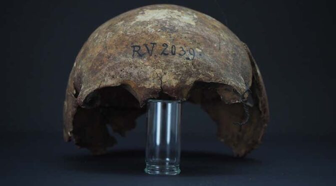 Earliest known bubonic plague strain found in a 5000-year-old skull
