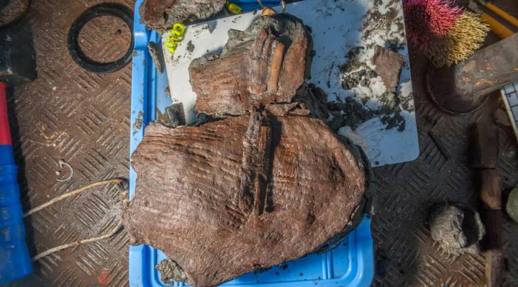 2,400-year-old fruit baskets from Thonis-Heracleion found off the coast of Egypt