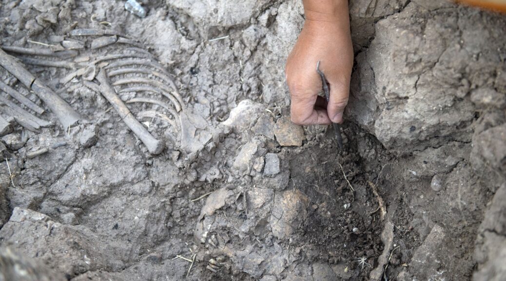 Archaeologists find child's skeleton in Turkey's Tozkoparan Mound