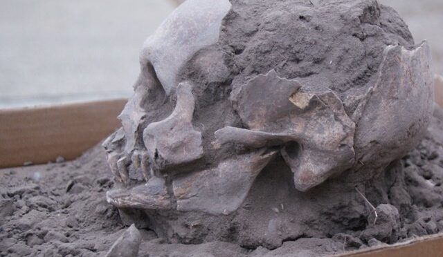 FEFU archaeologists have found the oldest burials in Ecuador
