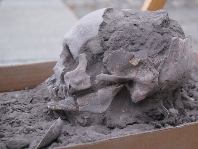 FEFU archaeologists have found the oldest burials in Ecuador
