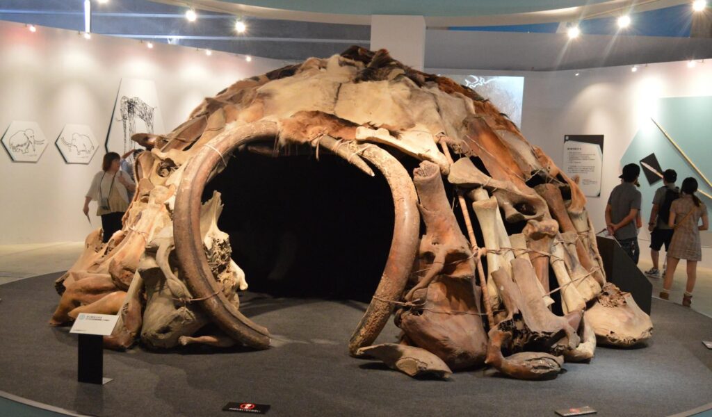 Perhaps the earliest example of domed architecture, the mammoth huts found in Mezhyrich, Ukraine, could be up to 25,000 years old. “Mammoth House” as shown at the “Frozen Woolly Mammoth Yuka Exhibit” in Yokoyama, Japan in Summer 2013.