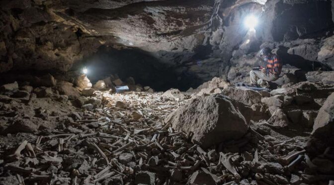 Thousands of human and animal bones hoarded by hyenas in lava tube system, Saudi Arabia