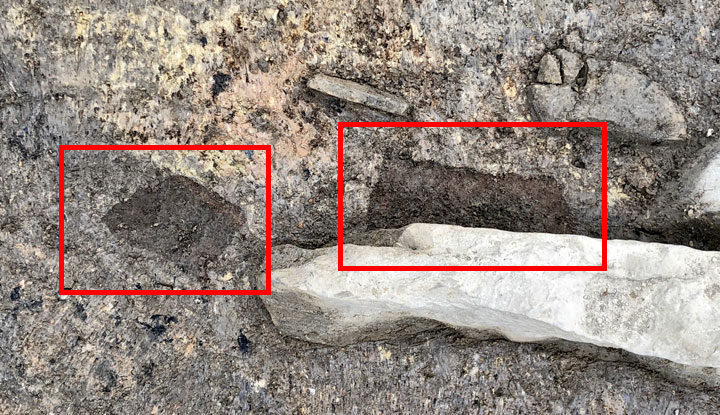 5,000-Year-Old Wood Uncovered at Scotland’s Ness of Brodgar