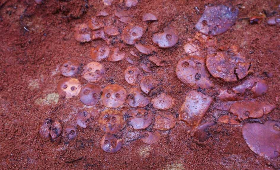 Discovery of “unique” burial containing 140 pieces of amber jewellery
