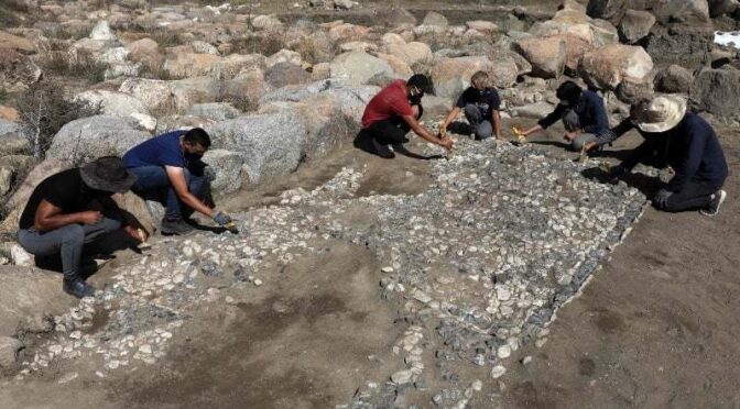 ‘Ancestor’ of Mediterranean mosaics discovered in Turkey