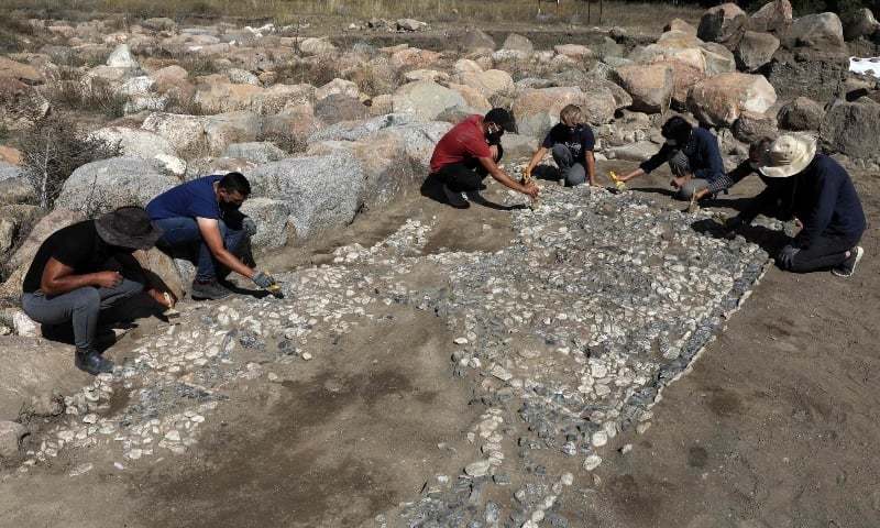 ‘Ancestor’ of Mediterranean mosaics discovered in Turkey