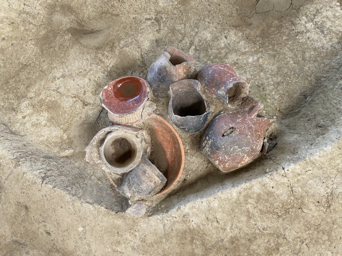 Traces of Beer Detected in 9,000-Year-Old Vessels in China
