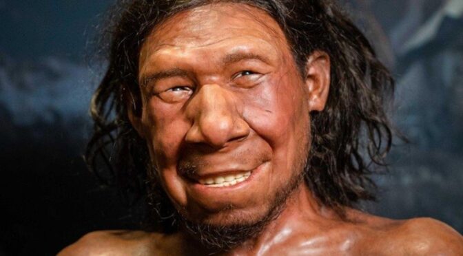 Netherlands: They rebuild the face of the first Dutch Neanderthal