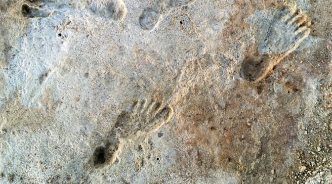 Fossil footprints show humans in North America more than 21,000 years ago