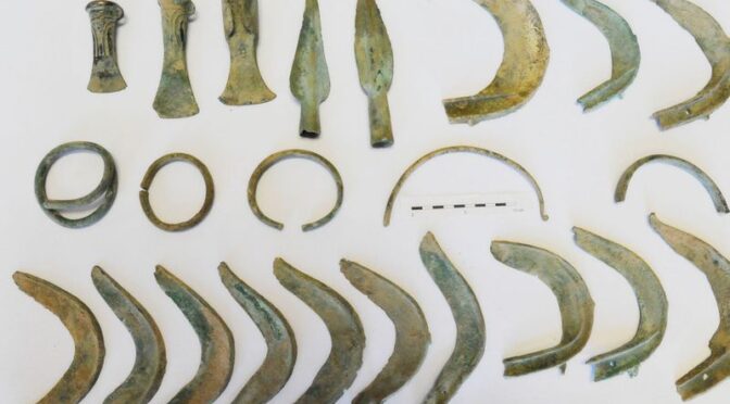 Who’s a Good Archaeologist? Dog Digs Up Trove of Bronze Age Relics