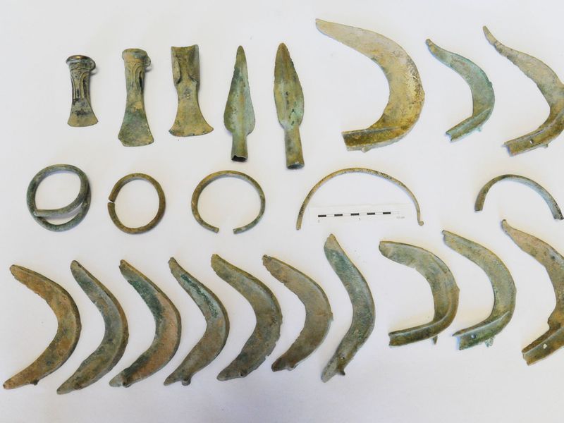 Who’s a Good Archaeologist? Dog Digs Up Trove of Bronze Age Relics