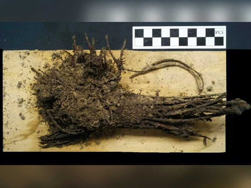 1,800-Year-Old Offering to the Gods Discovered Beneath Pyramid of Teotihuacan