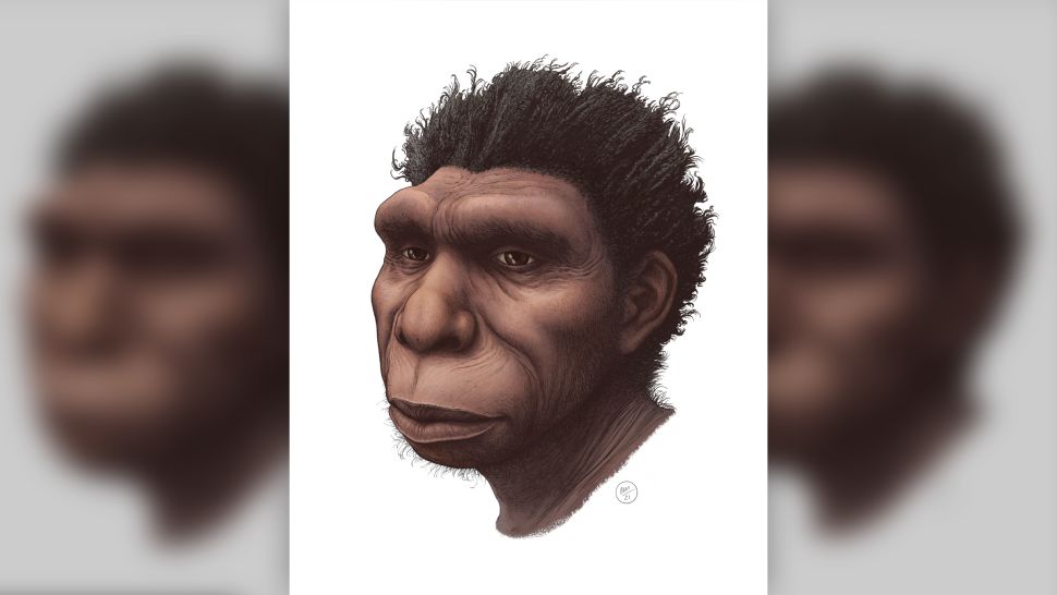 Newly named human species may be the direct ancestor of modern humans
