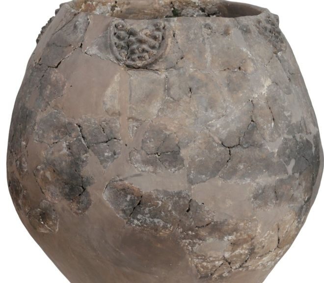 'World's oldest wine' found in 8,000-year-old jars in Georgia